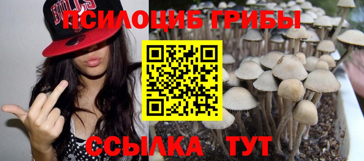 Псилоцибиновые грибы GOLDEN TEACHER  Псилоцибиновые грибы MAGIC MUSHROOMS  Вход с VPN  Кисловодск 