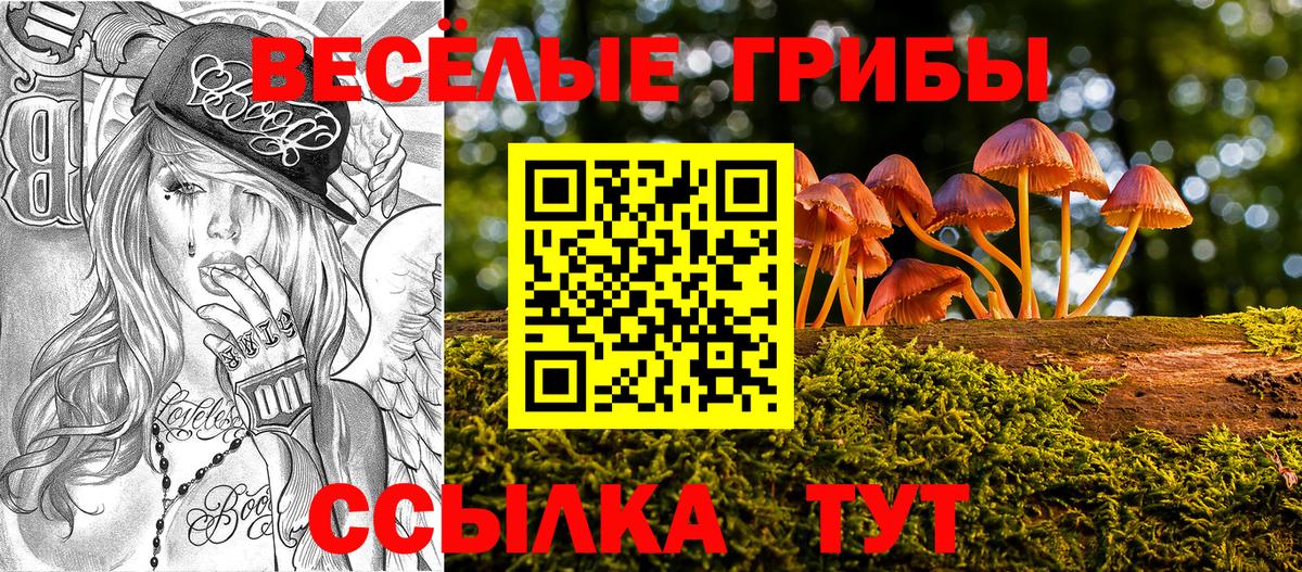 Галлюциногенные грибы Magic Shrooms Кисловодск