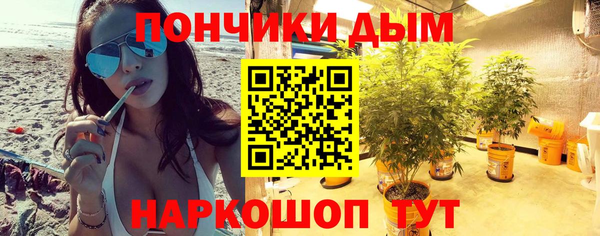 Шишки марихуана гибрид  Бошки Шишки AK-47  Вход с VPN  Кисловодск 
